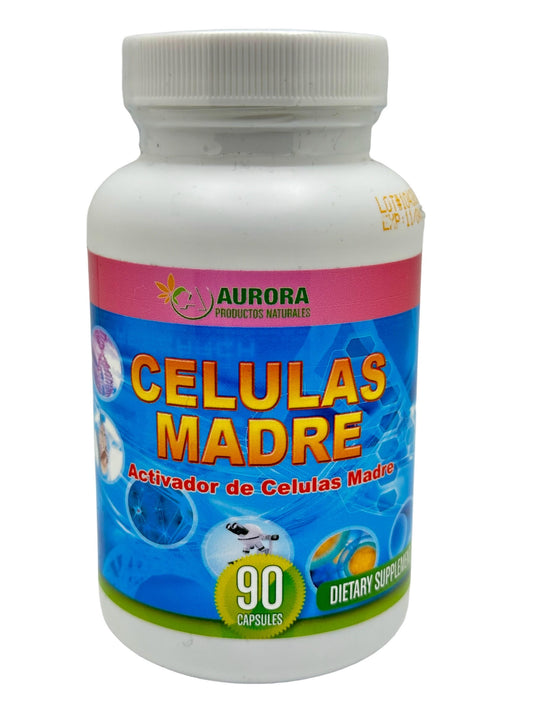 Celulas Madre